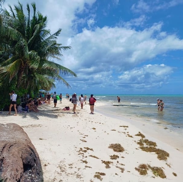 beryl beach recovery