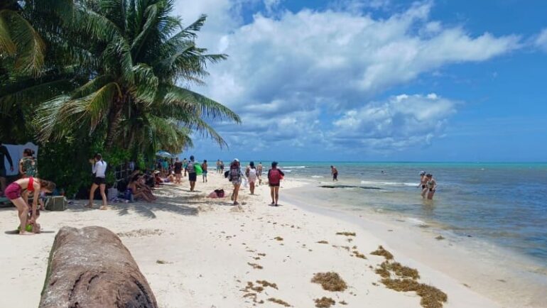 beryl beach recovery