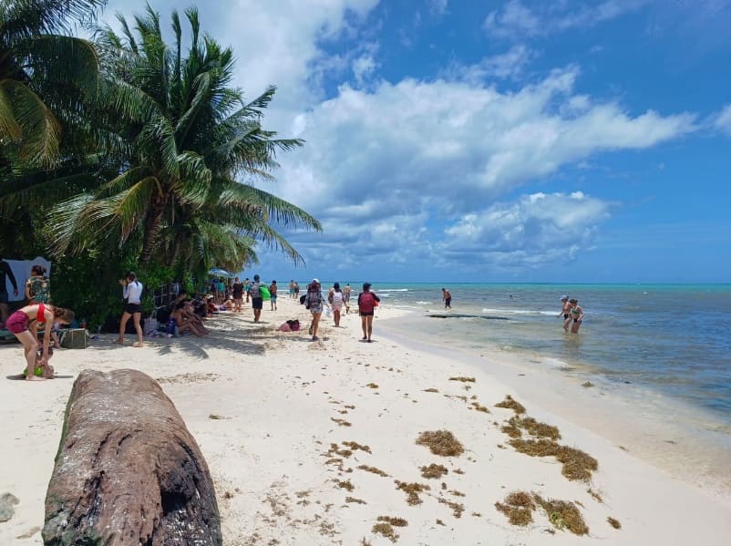 beryl beach recovery