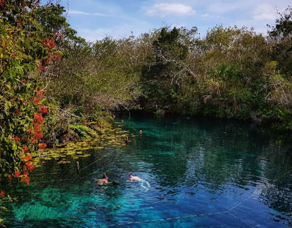 cenotes in riviera maya - cenote aktun ha