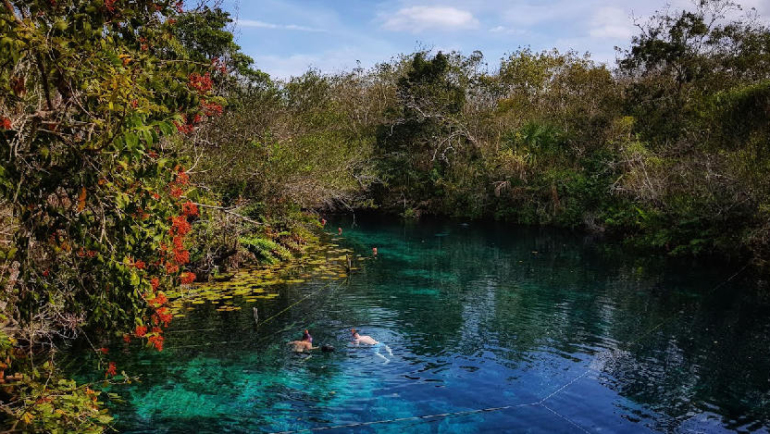 cenotes in riviera maya - cenote aktun ha