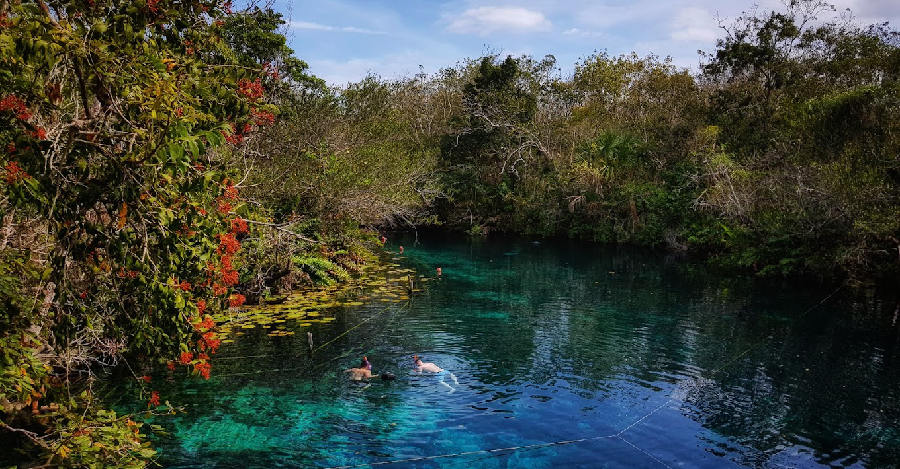 cenotes in riviera maya - cenote aktun ha