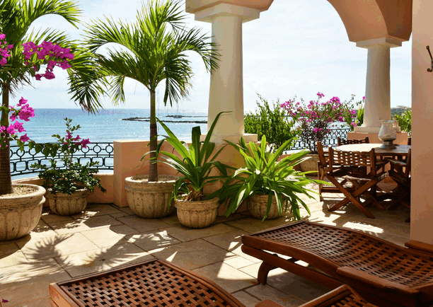 great gardening in riviera maya