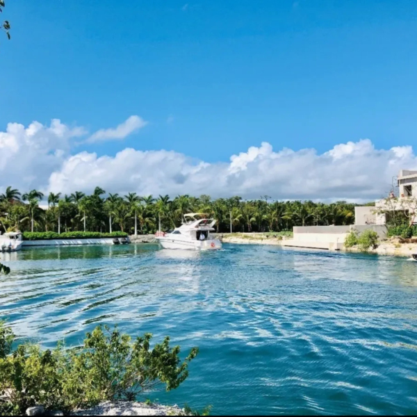 phase 4 in puerto aventuras